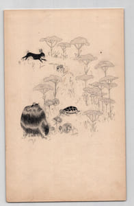 Dessin à l'encre illustration fable "Le lièvre et la tortue"