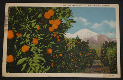 Marcel ACHARD, Ecrivain - CARTE POSTALE AUTOGRAPHE SIGNÉE A PERCHELLET 1934