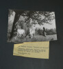 Photographie noir et Blanc d'&eacute;poque ann&eacute;es 70 "Moli&egrave;re au village", Toinette, Madeleine MONNIER - Th&eacute;&acirc;tre Paysan. Madeleine Monnier
