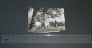 Photographie noir et Blanc d'&eacute;poque ann&eacute;es 70 "Moli&egrave;re au village", Toinette, Madeleine MONNIER - Th&eacute;&acirc;tre Paysan. Madeleine Monnier