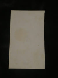 Portrait d'une femme de profil au crayon de bois