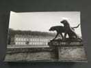 Photographie noir et Blanc ann&eacute;es 70/80 LYNX photo Almasy CHATEAU DE CHANTILLY. Almasy