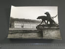 Photographie noir et Blanc ann&eacute;es 70/80 LYNX photo Almasy CHATEAU DE CHANTILLY. Almasy