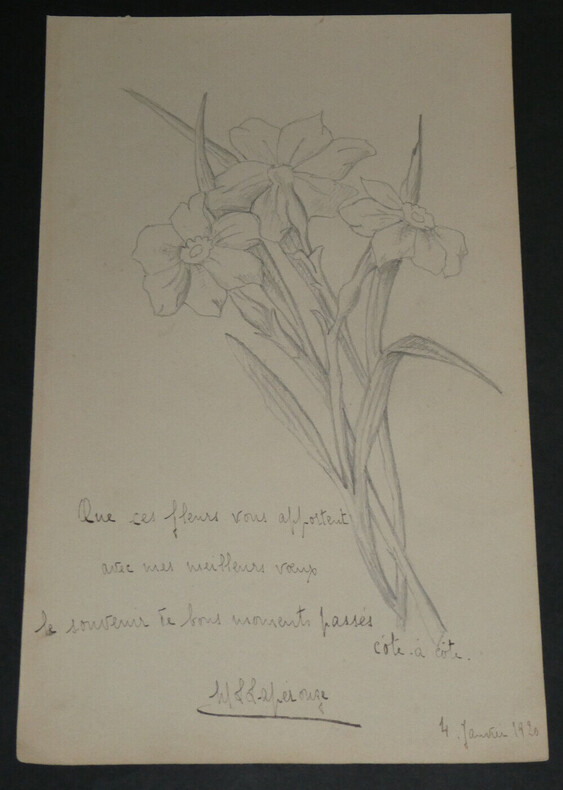 Dessin jonquilles au crayon d&eacute;dicac&eacute; par L LAPEROUZE. L. Laperouze