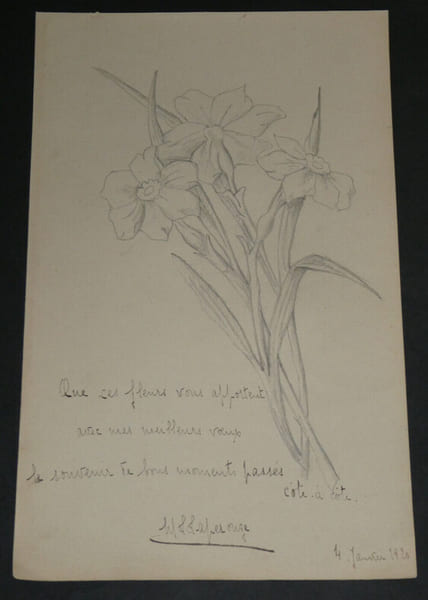 Dessin jonquilles au crayon d&eacute;dicac&eacute; par L LAPEROUZE. L. Laperouze