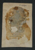 Ernest Renan - Photographie 8,9 x 5,6 cm, Paris. Ernest Renan