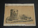 Lion du Dromos du S&eacute;rap&eacute;um de Memphis – Dessin original sign&eacute; – XXXe dynastie. Louis Henri Laffill&eacute;e