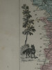 Lithographie couleur, Le Jura, dress&eacute; Vuillemin, Grav&eacute; ALES, 1876. Vuillemin ; ALES