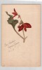 Aquarelle de fleur rouge sign&eacute;e en 1918. 