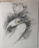 La main - boutique Lecerf Joaillerie, Dessin - Tours, juin 1999. Roland BALME
