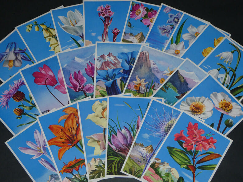 Lot de 22 cartes postales florales ADIA 1935. 