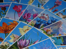 Lot de 22 cartes postales florales ADIA 1935. 