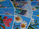 Lot de 22 cartes postales florales ADIA 1935. 