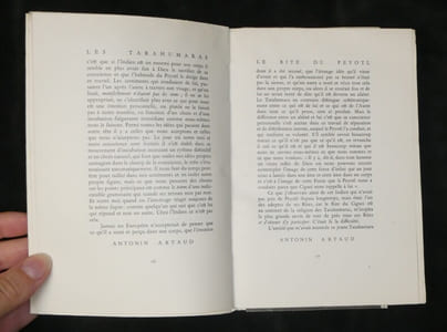 Les Tarahumaras