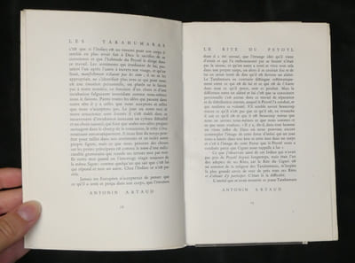 Les Tarahumaras