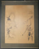 Dessin encre - &Eacute;cole japonaise anonyme - Singe, pin et oiseaux - XIXe si&egrave;cle. &Eacute;cole japonaise anonyme