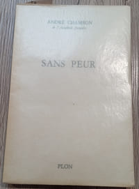 SANS PEUR ET LES BRIGANDS AUX VISAGES NOIRS