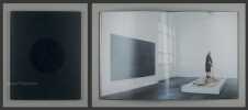 The Revenge & The Remains of Clarity. With an Essay by Rainer Michael Mason.. Lüthi, Urs: