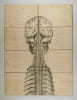 Anatomie Du Syst&egrave;me Nerveux De L'Homme ... Centre Nerveux C&eacute;phalo-Rachidien. 1&deg; Face ant&eacute;rieure. 2&deg; Face post&eacute;rieure / Par J. Cruveilhier, Professeur ...