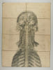 Anatomie Du Syst&egrave;me Nerveux De L'Homme ... Centre Nerveux C&eacute;phalo-Rachidien. 1&deg; Face ant&eacute;rieure. 2&deg; Face post&eacute;rieure / Par J. Cruveilhier, Professeur ...