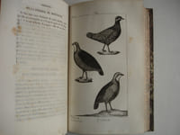Œuvres complètes de Monsieur de Buffon mises en ordre par Monsieur le Comte de Lacepède, enrichies par ce savant d'une vue générale des progrès des sciences naturelles.
Nouvelle édition augmentée d'un précis de découvertes nouvellement faites dans l'histoire naturelle, ornées d'un portrait de Buffon et de 245 belles gravures.
Paris, Eymery, Fruger et Compagnie 1828 - 1829