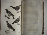 Œuvres complètes de Monsieur de Buffon mises en ordre par Monsieur le Comte de Lacepède, enrichies par ce savant d'une vue générale des progrès des sciences naturelles.
Nouvelle édition augmentée d'un précis de découvertes nouvellement faites dans l'histoire naturelle, ornées d'un portrait de Buffon et de 245 belles gravures.
Paris, Eymery, Fruger et Compagnie 1828 - 1829