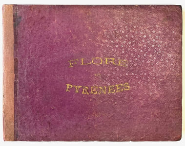 Flore des Pyrénées. Plantes recueillies dans les Pyrénées par C. O. Blum.