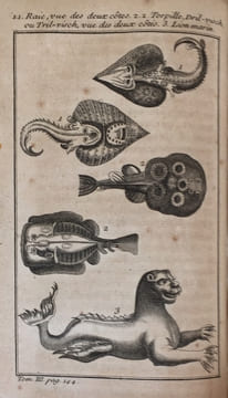 Description du Cap de Bonne-Esperance, où lon trouve tout ce qui concerne lhistoire naturelle du pays; la religion, les moeurs & les usages des ...