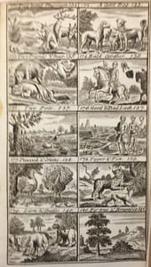 Aesop's Fables with Instructive Morals and Reflections Abstacted from All Party Considerations Adapted to All Capacities and Designed to Promote Religion, Morality and Universal Benevolence