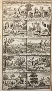 Aesop's Fables with Instructive Morals and Reflections Abstacted from All Party Considerations Adapted to All Capacities and Designed to Promote ...