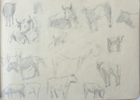 [CARNET DE CROQUIS].
