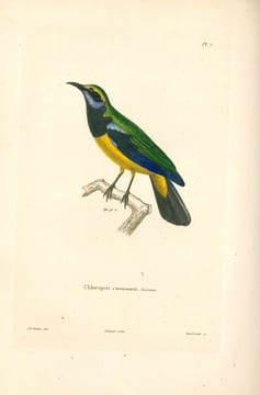 Souvenirs d'un voyage dans l'Inde exécuté de 1834 à 1839.. DELESSERT (Adolphe).
