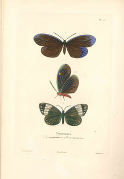 Souvenirs d'un voyage dans l'Inde exécuté de 1834 à 1839.. DELESSERT (Adolphe).