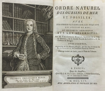 Ordre Naturel des Oursins de Mer et Fossiles.