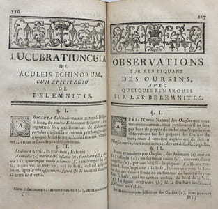 Ordre Naturel des Oursins de Mer et Fossiles.