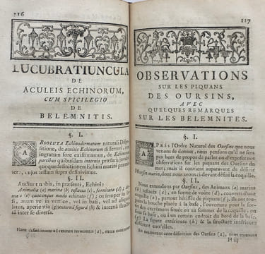 Ordre Naturel des Oursins de Mer et Fossiles.. KLEIN (Théodore).