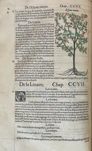 Commentaires tres excellens de l'hystoire des plantes, composez premierement en latin par Leonarth Fousch, medecin tres renommé : Et depuis, nouvellement traduictz en langue françoise, par un homme scavant & bien expert en la matiere