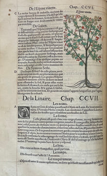 Commentaires tres excellens de l'hystoire des plantes, composez premierement en latin par Leonarth Fousch, medecin tres renommé : Et depuis, ...