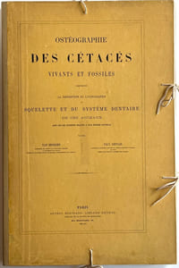 Ostéographie des cétacés vivants et fossiles contenant la description et l'iconographie du squelette et du système dentaire de ces animaux.
