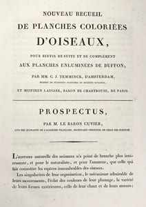 Nouveau recueil de planches coloriées doiseaux, pour servir de suite et de complément aux planches enluminées de Buffon []