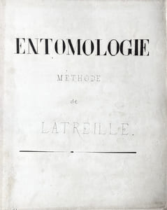 ENTOMOLOGIE - COLÉOPTÈRES, ORTHOPTÈRES, LÉPIDOPTÈRES