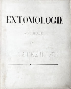 ENTOMOLOGIE - COLÉOPTÈRES, ORTHOPTÈRES, LÉPIDOPTÈRES. [MANUSCRIT 112 DESSINS/MANUSCRIPT OF 112 DRAWINGS] METHODE DE LATREILLE.