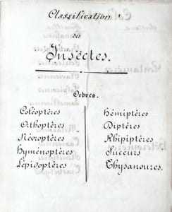 ENTOMOLOGIE - COLÉOPTÈRES, ORTHOPTÈRES, LÉPIDOPTÈRES