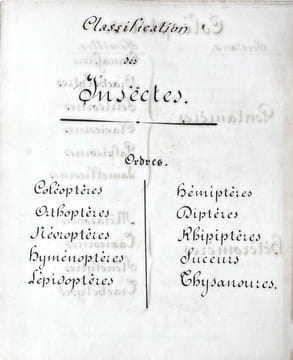 ENTOMOLOGIE - COLÉOPTÈRES, ORTHOPTÈRES, LÉPIDOPTÈRES. [MANUSCRIT 112 DESSINS/MANUSCRIPT OF 112 DRAWINGS] METHODE DE LATREILLE.