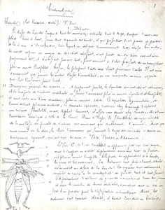 ENTOMOLOGIE - COLÉOPTÈRES, ORTHOPTÈRES, LÉPIDOPTÈRES
