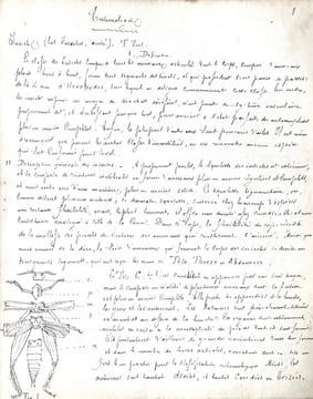 ENTOMOLOGIE - COLÉOPTÈRES, ORTHOPTÈRES, LÉPIDOPTÈRES. [MANUSCRIT 112 DESSINS/MANUSCRIPT OF 112 DRAWINGS] METHODE DE LATREILLE.