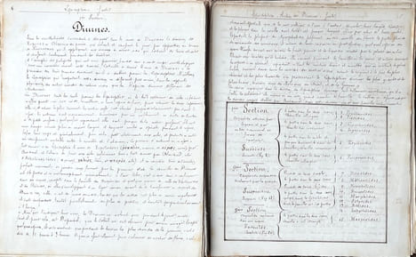 ENTOMOLOGIE - COLÉOPTÈRES, ORTHOPTÈRES, LÉPIDOPTÈRES. [MANUSCRIT 112 DESSINS/MANUSCRIPT OF 112 DRAWINGS] METHODE DE LATREILLE.