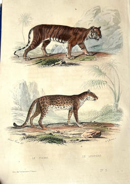 Voyage autour du monde sur la frégate La Vénus. Relation.. DU PETIT-THOUARS (Abel Aubert).
