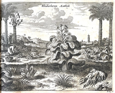 La Chine, illustrée de plusieurs monuments tant sacrés que profanes, et de quantité de recherchés de la nature et de l'art. Quoy on à adjousté de ...