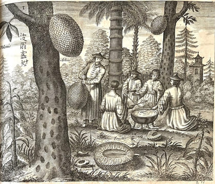 La Chine, illustrée de plusieurs monuments tant sacrés que profanes, et de quantité de recherchés de la nature et de l'art. Quoy on à adjousté de ...